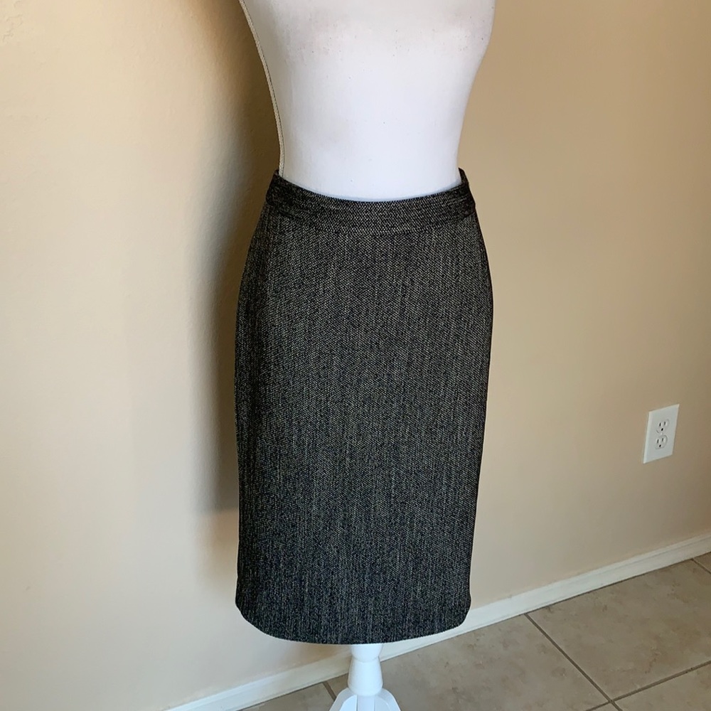 Ann Taylor skirt